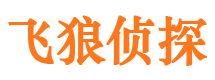 汉阳外遇调查取证